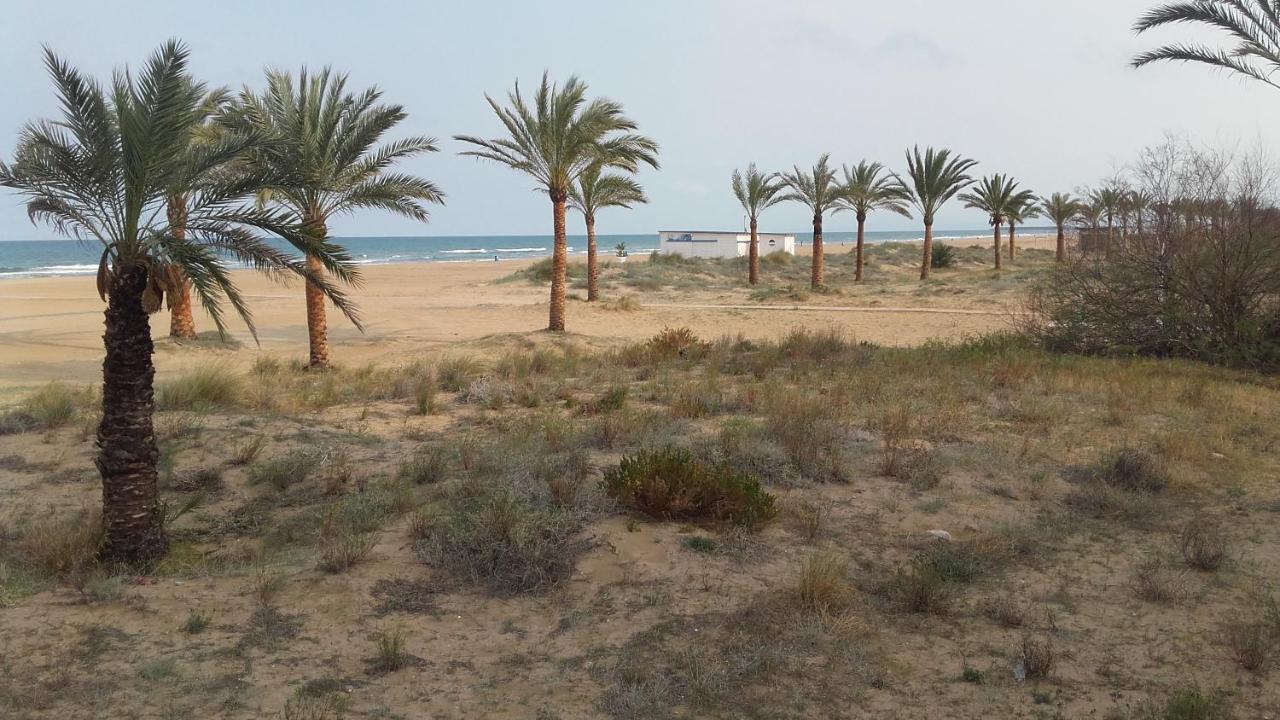Primerisima Linea De Playa De Gandia Vt-45633-V Eksteriør bilde