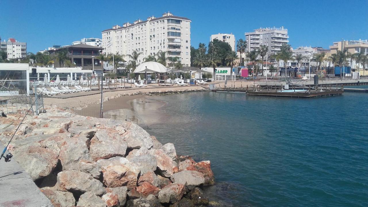 Primerisima Linea De Playa De Gandia Vt-45633-V Eksteriør bilde